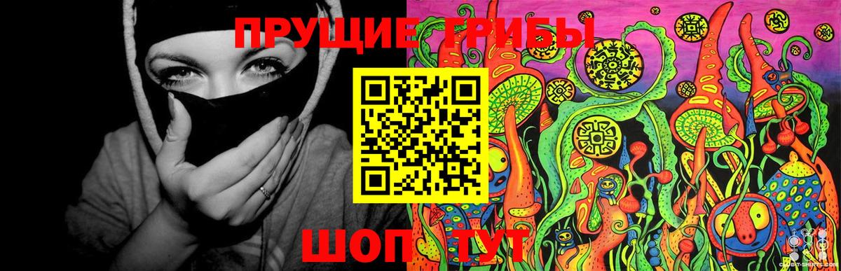 Псилоцибиновые грибы GOLDEN TEACHER Феодосия